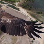 Najlepsze zdjęcie w konkursie Dronestagram 2014