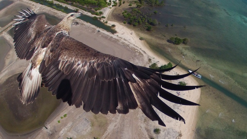 Najlepsze zdjęcie w konkursie Dronestagram 2014