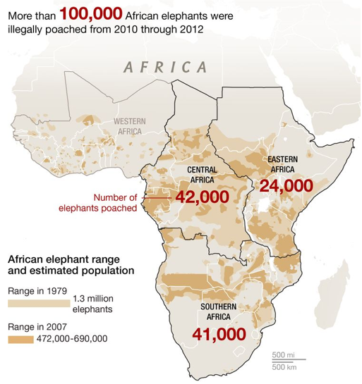 Statystyki zabitych słoni w Afryce w latach 2010-2012