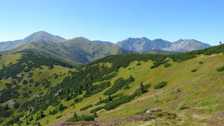 Tatry Zachodnie