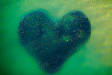 Photo of the year - "Love Heart of Nature " by Jim Picôt