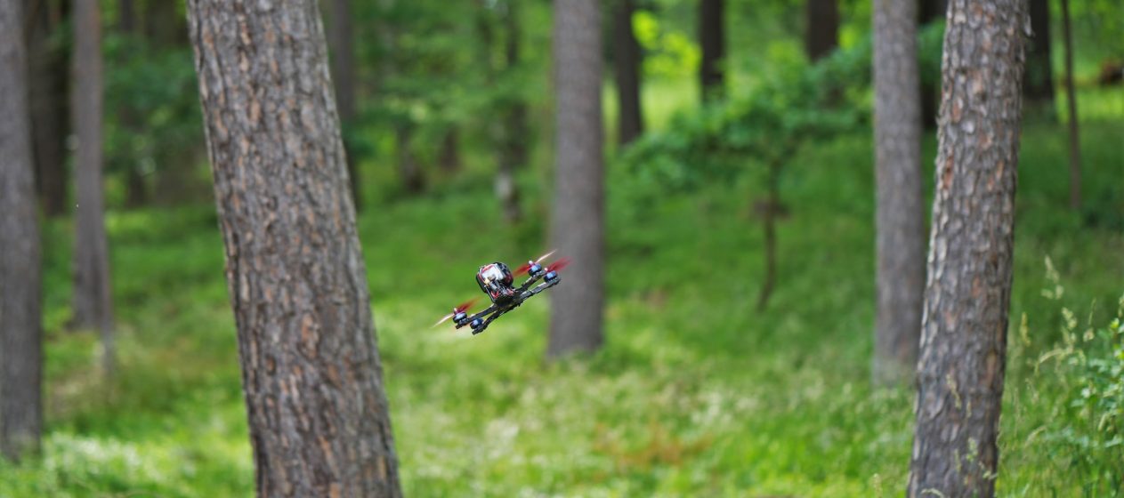 FPV
